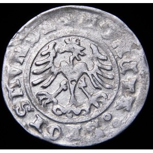 Sigismund I. der Alte, Halbpfennig 1509, Krakau