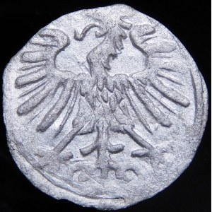 Žigmund II Augustus, denár 1556, Vilnius