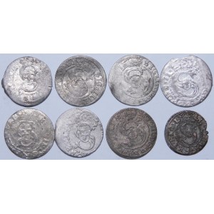 Sigismund III Vasa, the Riga Shelf - set (pcs. 8)