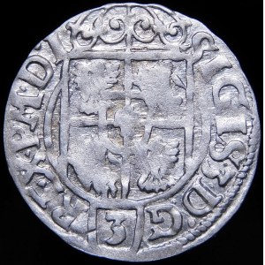 Sigismund III Vasa, Half-track 1621, Bydgoszcz - Saxon in oval shield