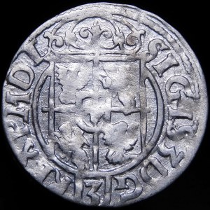 Sigismund III Vasa, Half-track 1622, Bydgoszcz - Saxon in oval shield
