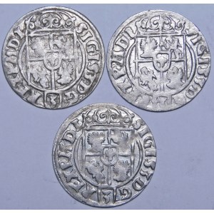 Sigismund III Vasa, Half-track 1623, Bydgoszcz - variants - set (pcs. 3)