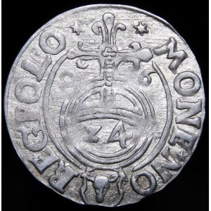 Sigismund III Vasa, Half-track 1626, Bydgoszcz - Half-horse in decorative shield