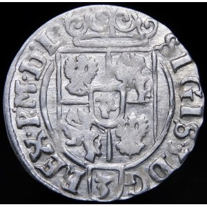 Sigismund III Vasa, Half-track 1626, Bydgoszcz - Half-horse in decorative shield