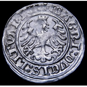 Sigismund I the Old, Half-penny 1509, Vilnius - Pogon without scabbard - colon