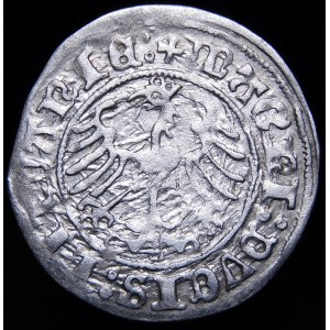 Zygmunt I Stary, Półgrosz 1510, Wilno - duże zero, dwukropek