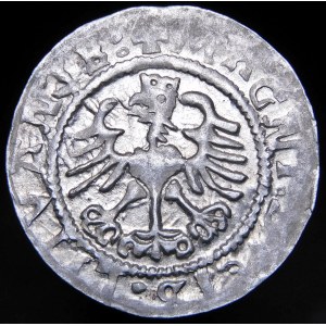 Sigismond Ier l'Ancien, demi-penny 1524, Vilnius - miroir 4 - rare et beau