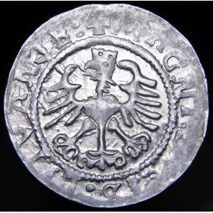 Sigismund I the Old, Half-penny 1524, Vilnius - mirrored 4 - rare and beautiful