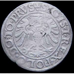 Sigismund I the Old, Penny 1539, Elbląg