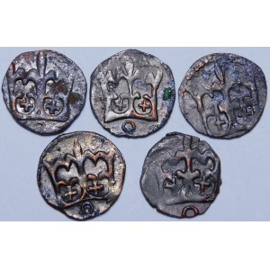 Casimir IV Jagiellonian, Denarius of Cracow - set (pcs. 5)