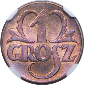 1 Pfennig 1923 - AUSGEZEICHNET