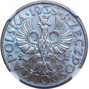 2 pennies 1935 - UNIQUE