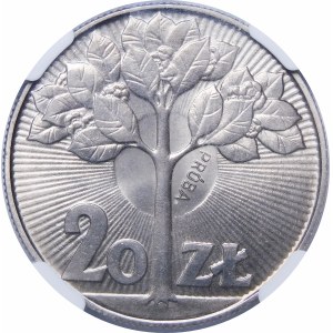 Próba 20 złotych Drzewo 1973 - miedzionikiel