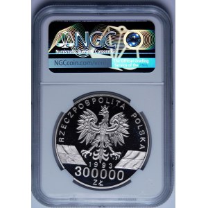 SAMPLE Nickel 300000 1993, Schwalben