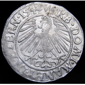 Sliezsko - Legnické a Brestské kniežatstvo, Fridrich II., Penny 1544, Legnica