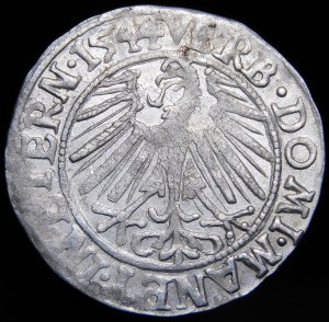 Silesia - Duchy of Legnica and Brest, Frederick II, Penny 1544, Legnica