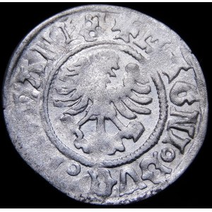 Alexander Jagiellonian, Vilnius half-penny - Renaissance - 7th issue - variant