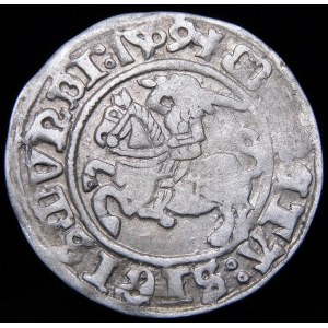 Zikmund I. Starý, půlpenny 1509, Vilnius - Zdrávas bez pochvy