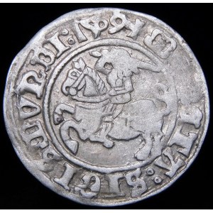 Sigismund I. der Alte, Halbpfennig 1509, Vilnius - Hagel ohne Scheide