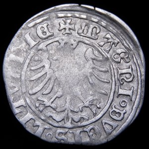 Zikmund I. Starý, půlpenny 1509, Vilnius - Zdar bez pochvy - nepopsatelná chyba