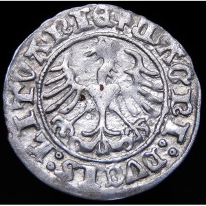 Sigismund I. der Alte, halber Pfennig 1511, Vilnius - dreifacher Punkt - sehr selten