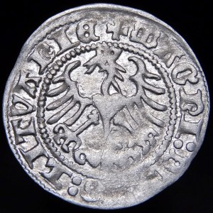 Sigismund I. der Alte, halber Pfennig 1513, Vilnius - diagonaler Doppelpunkt, Doppelpunkt