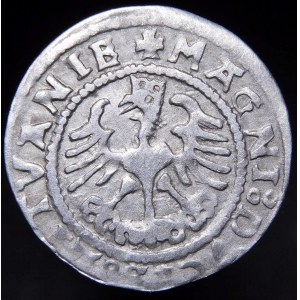Sigismund I. der Alte, Halbpfennig 1527, Wilna - Doppelpunkt - selten