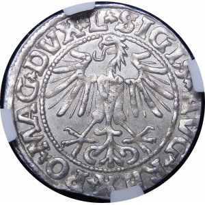 Sigismund II Augustus, Half-penny 1549, Vilnius - 9 Pogon, L/LITVA - beautiful and rare