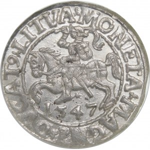 Žigmund II August, polgroš 1547, Vilnius - LI/LITVA - krásna
