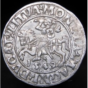 Sigismund II Augustus, Halbpfennig 1549, Wilna - 9 Pogoń, L/LITVA - selten