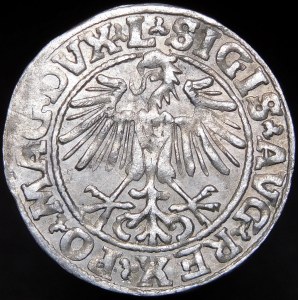 Zygmunt II August, Półgrosz 1549, Wilno - 9 Pogoń, L/LITVA - rzadki