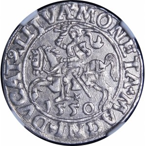 Sigismund II. Augustus, Halbpfennig 1550, Wilna - LI/LITVA