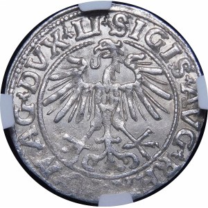 Sigismund II Augustus, Half-penny 1551, Vilnius - LI/LITVA - rarer