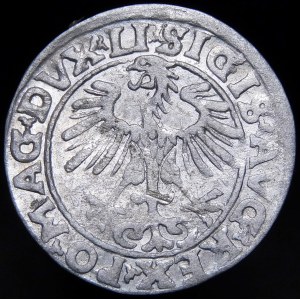 Sigismund II Augustus, Halbpfennig 1553, Wilna - LI/LITVA - selten