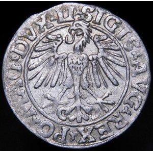 Sigismund II. Augustus, Halbpfennig 1548, Wilna - Römer I, LI/LITVA