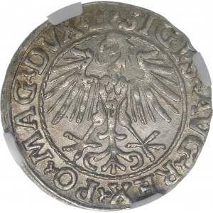 Žigmund II August, polgroš 1548, Vilnius - arabčina 1, LI/LITVA