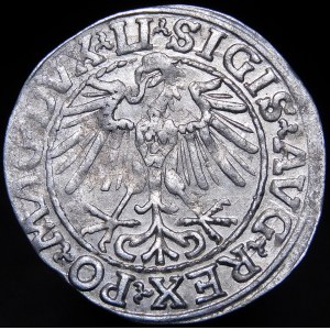 Zygmunt II August, Półgrosz 1548, Wilno - arabska 1, LI/LITVA