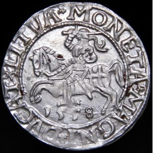 Sigismund II Augustus, Halbpfennig 1558, Wilna - L/LITVA - schön