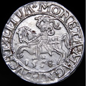 Sigismund II Augustus, Half-penny 1558, Vilnius - L/LITVA - beautiful