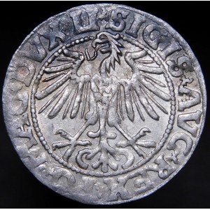 Sigismund II. Augustus, Halbergroschen 1549, Wilna - 10 Pogoń, LI/LITVA