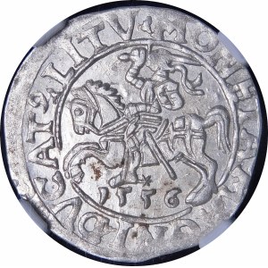 Sigismund II Augustus, Half-penny 1556, Vilnius - L/LITV - beautiful and very rare