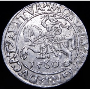 Zygmunt II August, Półgrosz 1560, Wilno - DVX L/LITVA - piękny