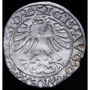 Sigismund II Augustus, Half-grosz 1563, Vilnius - 19 Pogon, Axe, M D L/LITV - rare