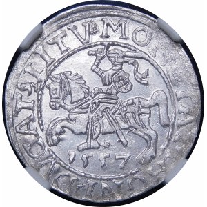 Sigismund II Augustus, Half-penny 1557, Vilnius - LI/LITV