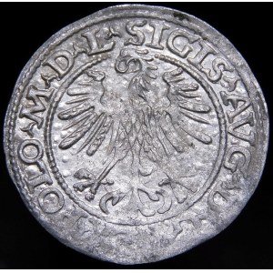 Sigismund II Augustus, Halbgrosse 1563, Vilnius - 20 Pogoń, Axt, M D L/LITVA