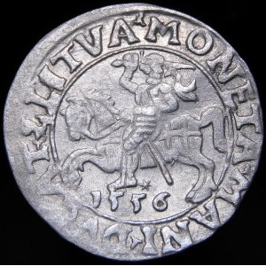 Sigismund II Augustus, Halbpfennig 1556, Vilnius - LI/LITVA - MANI Fehler - selten
