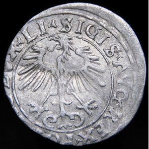 Sigismund II Augustus, Half-penny 1556, Vilnius - LI/LITVA - MANI error - rare