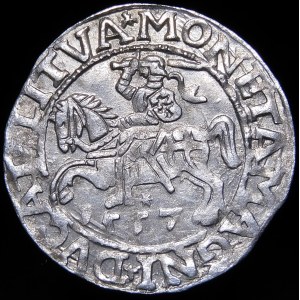 Sigismund II Augustus, Half-penny 1557, Vilnius - LI/LITVA