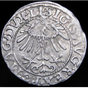 Sigismund II Augustus, Half-penny 1557, Vilnius - LI/LITVA - variant
