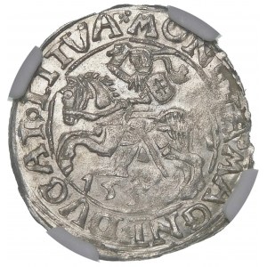 Zikmund II Augustus, půlgroš 1557, Vilnius - trojčíslí - Behm - nepopsáno